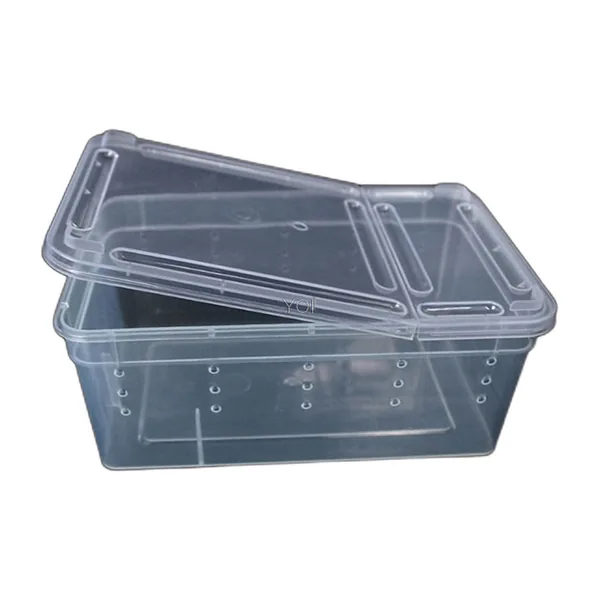 Clear ventilated box with clip-on lid for feeder insects and small reptiles