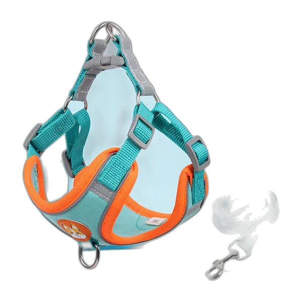 Turquoise and orange vest harness for small dogs with its leash