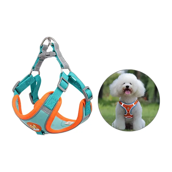 Harnais gilet pour petit chien bleu turquoise et orange avec sa laisse — vue 3