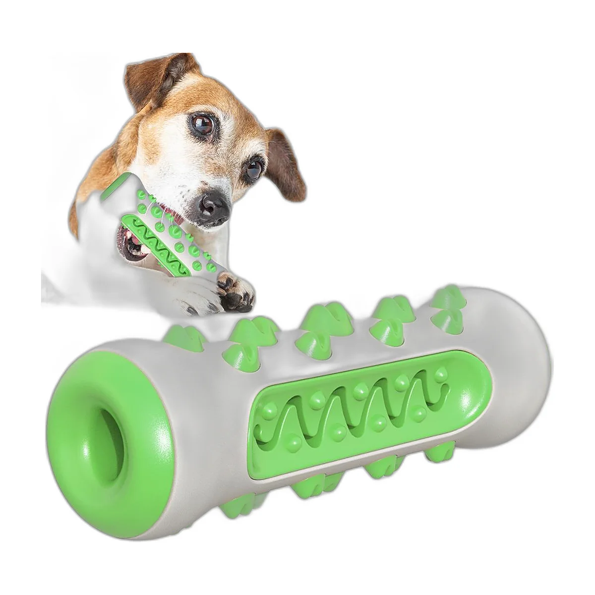 Green and white bone-shaped chew toy with nubs, held by a dog