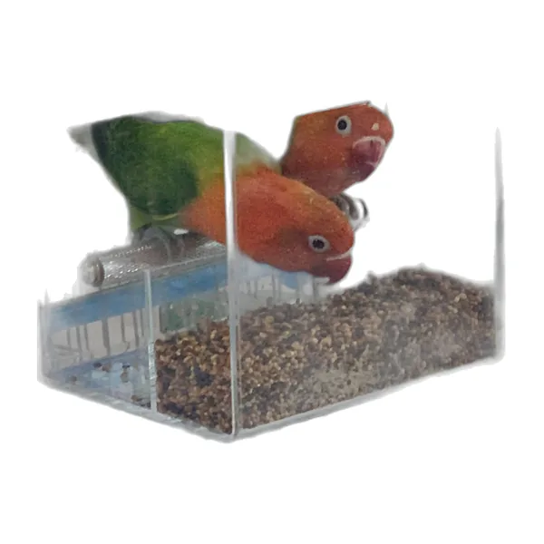 Clear enclosed acrylic bird feeder with inner perch — view 2